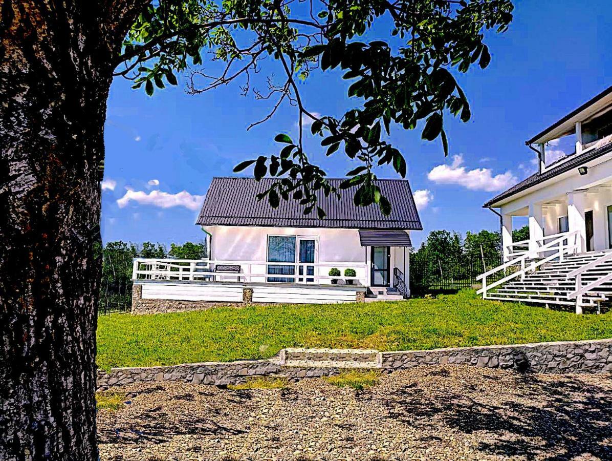 Cosy House Villa Berehomet Exterior photo